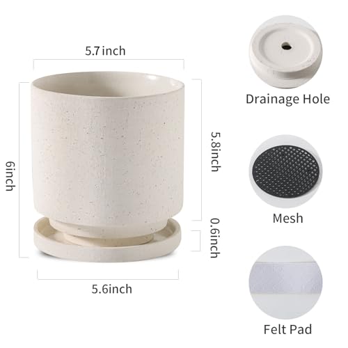 Ceramic Plant Pot Drainage Hole & Saucer for Indoor Plants