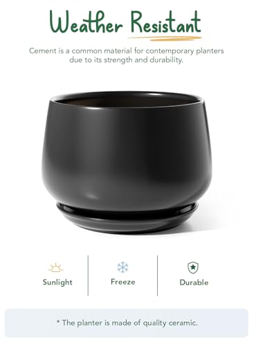 Ceramic Planter
