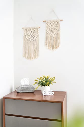 2Pcs Small Macrame Wall Hanging (2 Count)