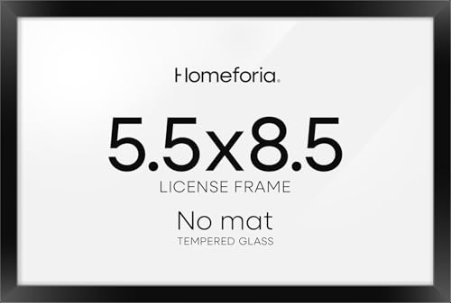 5.5x8.5 Black Business License Frame (2 Count)