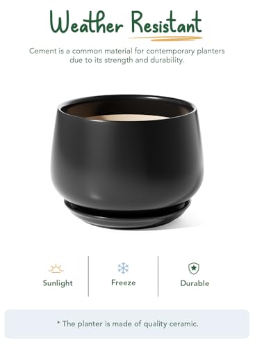 Ceramic Planter