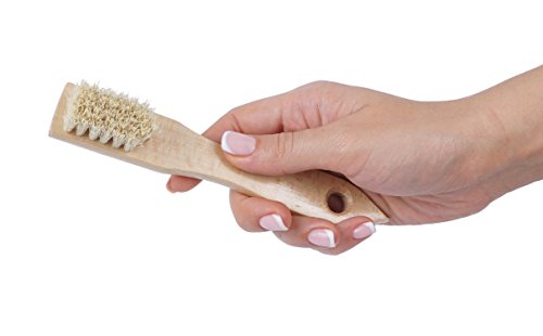 Laundry Brush (2 Count)