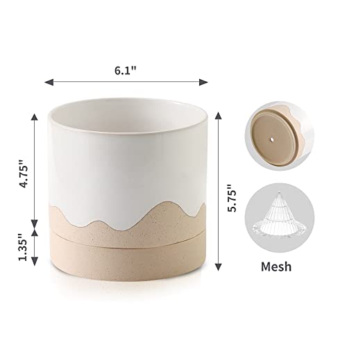 Ceramic Plant Pot
