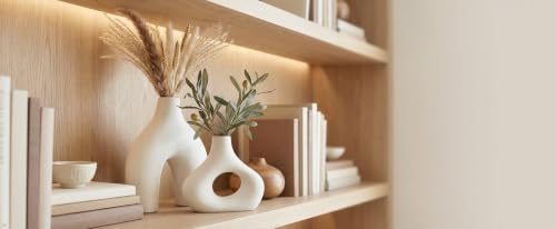Ceramic Modern Vase Set of 2 (2 Count)