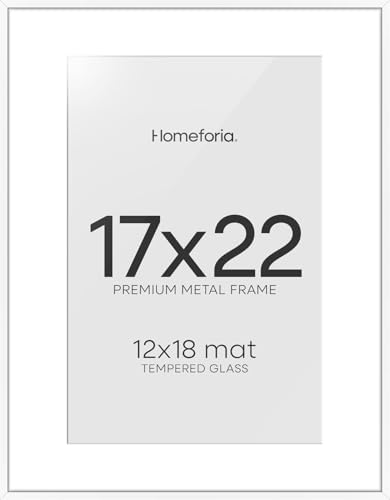17x22 White Picture Frame (2 Count)