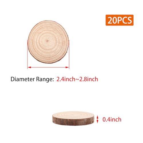 Natural Wood Slices for Wedding Decor (20 Count)