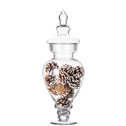Large Apothecary Jars Glass