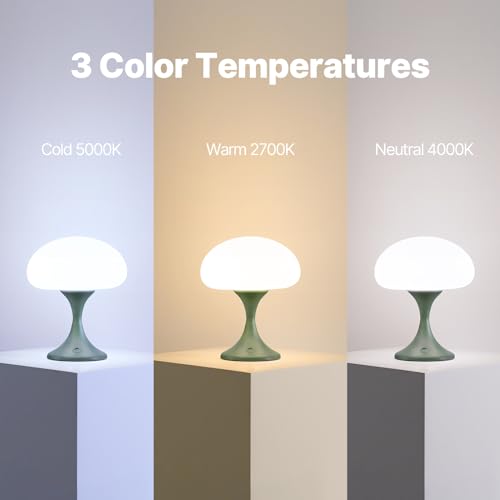 Mushroom Lamp