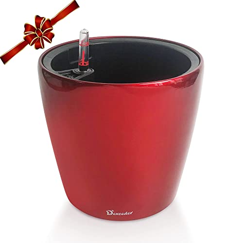 9x8 Self Watering Planter