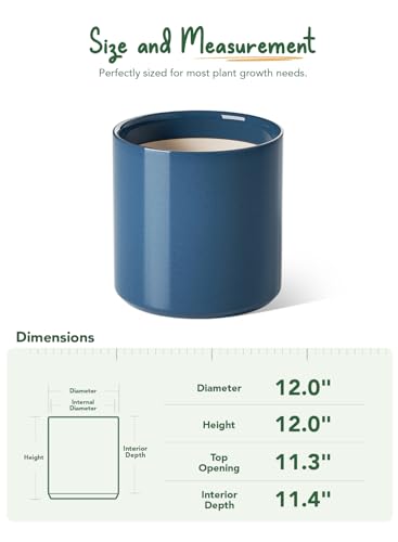 12 Inch Pot for Plants