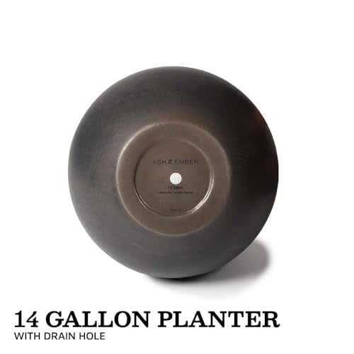 Ash & Ember 16" Round Sphere Charcoal Planter