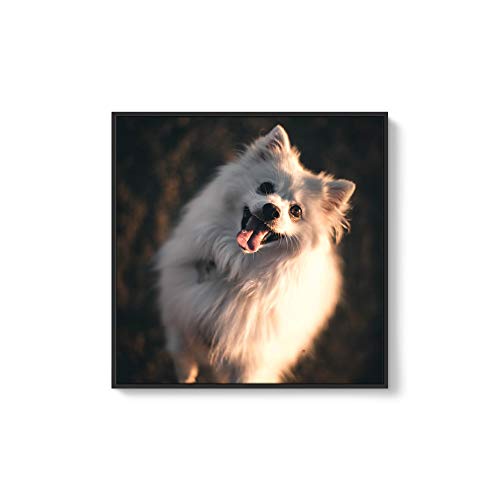 Custom Framed Canvas Prints with Your Photo for Pets