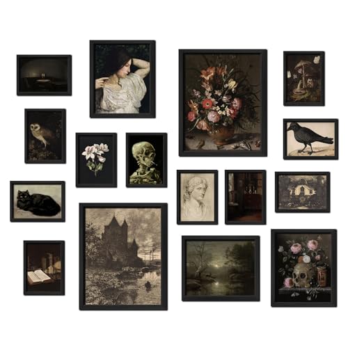 16 PCS Dark Academia Room Decor (16 Count)
