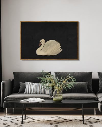 Framed Swan Art Wall Decorations Canvas Wall Art Prints
