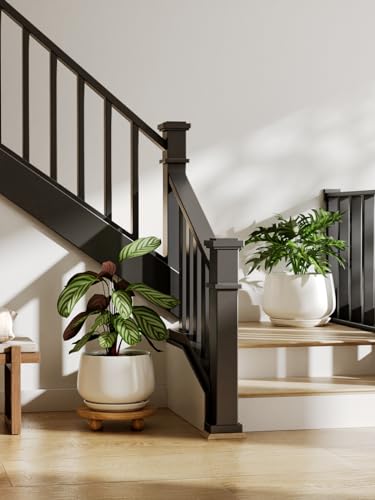 Ceramic Plant Pots (2 Count)