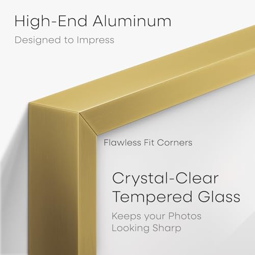 5.5x8.5 Gold Business License Frame (3 Count)