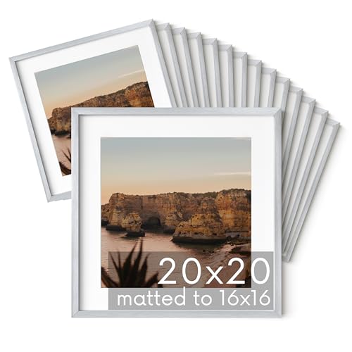 20x20 Silver Metal Picture Frames Matted to 16x16