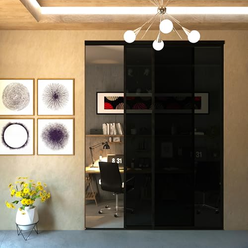 Glass Room Divider and Sliding Glass Closet Doors