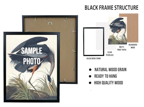 Deer in Forest Poster Art Print