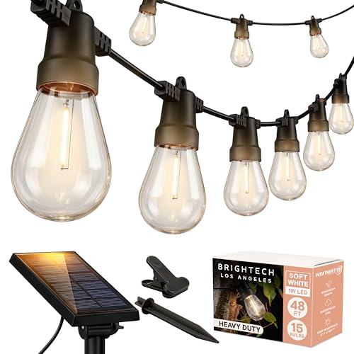 Ambience Pro Solar Powered Outdoor String Lights (48 Foot)