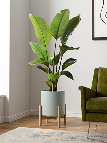 12 Inch Pot for Plants