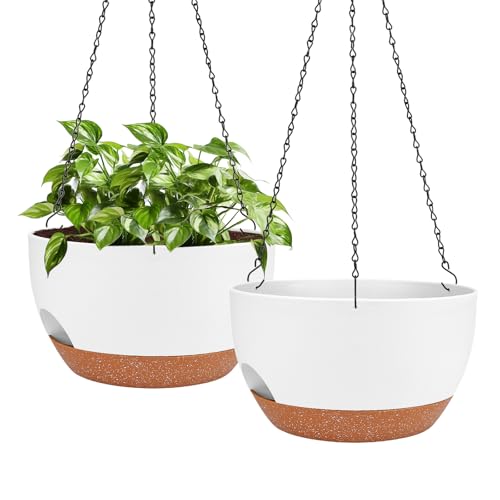 2 Pack 10 Inch Self Watering Hanging Planter for Indoor Outdoor Plants (2 Count)