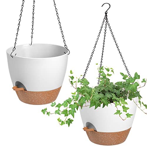 Hanging Planters for Indoor Outdoor Plants (2 Count)