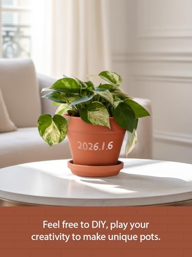 Terracotta Pots Set with Saucer (2 Count)
