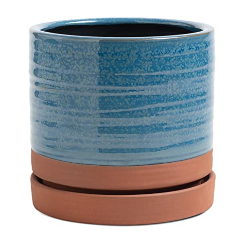 6 Inch Plant Pots