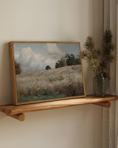 Framed Canvas Wall Art Vintage Decor