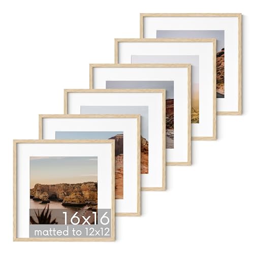 Beige Oak Wood 16x16 Picture Frames (6 Count)