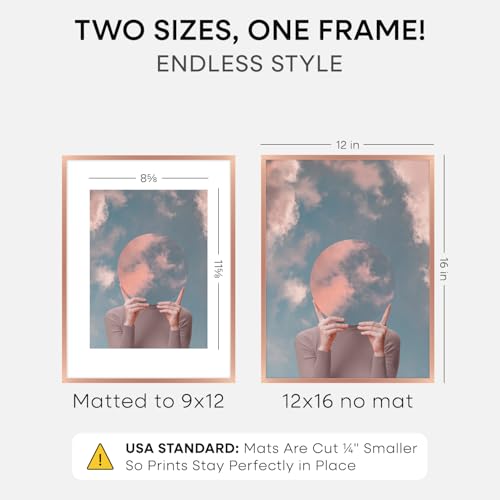 12x16 Rose Picture Frame (2 Count)