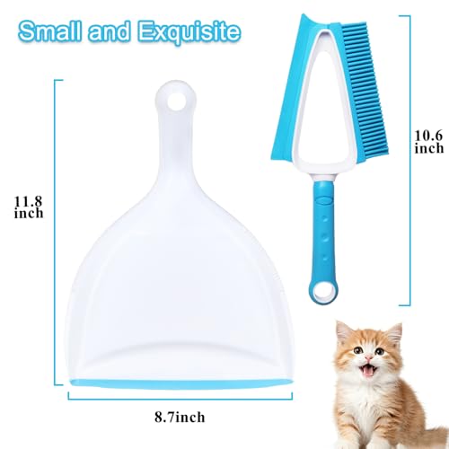 Pet Hair Rubber Brush with Mini Dustpan