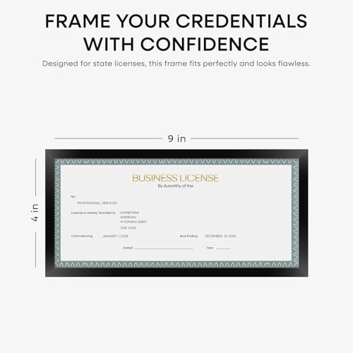 4x9 Black Business License Frame (2 Count)