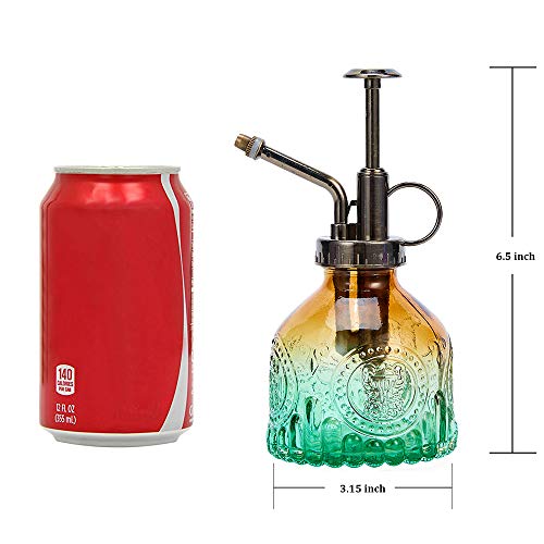 Glass Plant Mister Spray Bottle