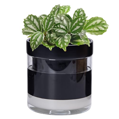 6 Inch Self Watering Terracotta Planter