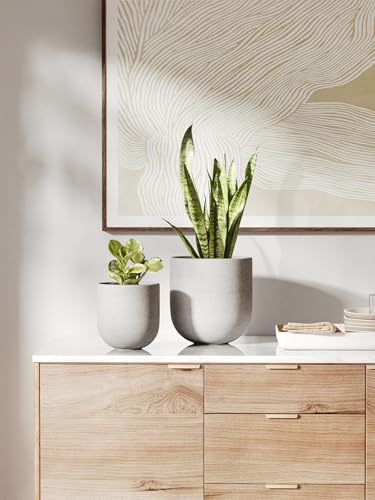 6 Inch Ceramic Plant Pot