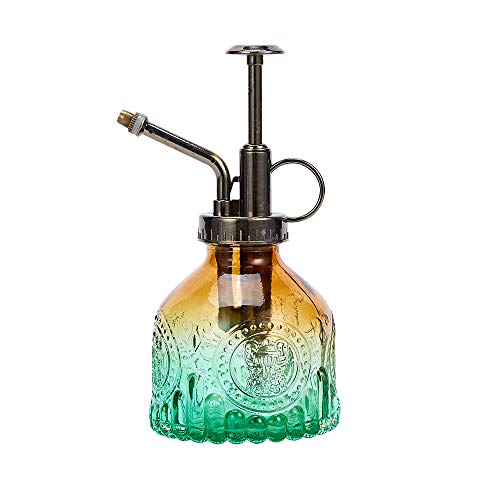 Glass Plant Mister Spray Bottle