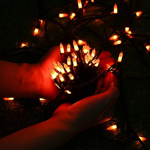 Orange Halloween Lights (12.5 Foot)