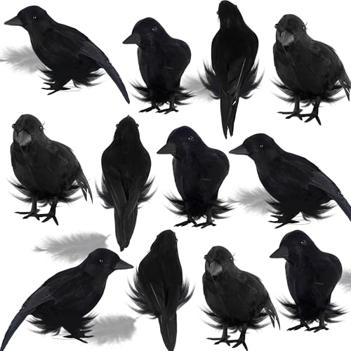 12 Pack Halloween Birds (12 Count)
