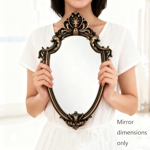 16.5 x 11.5inch Mirror Shield Shape Plastic Frame