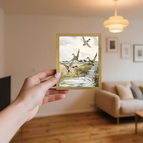 Framed Vintage Duck Wall Art Print