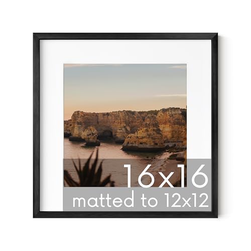 16x16 Black Metal Picture Frame Matted to 12x12