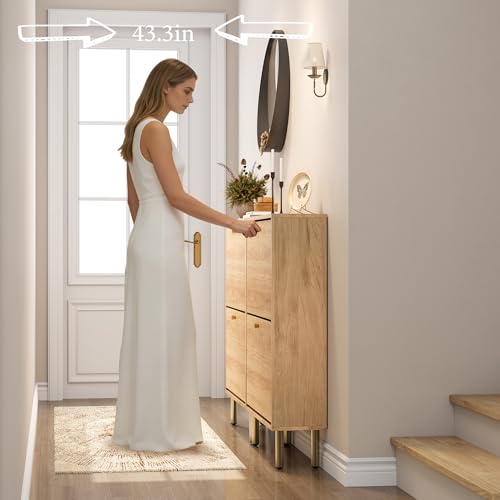 Shoe Storage Cabinet for Entryway