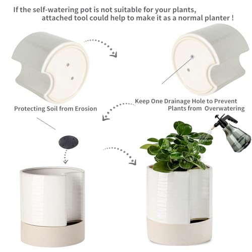 Ceramic Self Watering Plant Pot for Indoor Plants