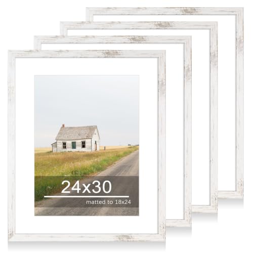 24x30 Picture Frame Set of 4