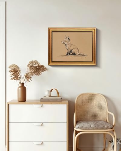 Framed Vintage Fox Sketch Wall Art