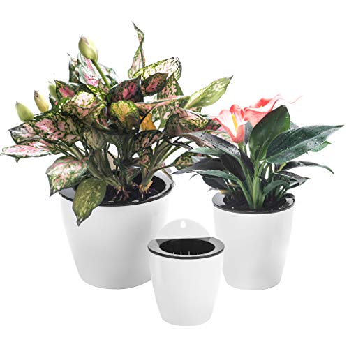 3 Pack Self Watering Wall Hanging Planter Pots Vertical Garden Window Hang Mount Indoor Outdoor Plant Flower Basket for Kitchen Herbs Balcony Railing Shelf Fence Bedroom Trellis Decor Modern White Box (3 Count)