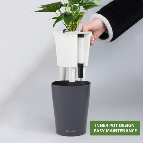6x7 Self Watering Planter