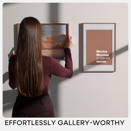 20x24 Mocha Picture Frame